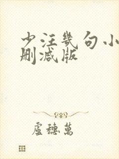 少汪几句小说未删减版
