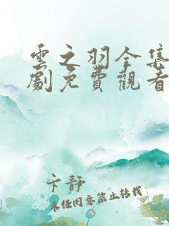 云之羽全集电视剧免费观看完整版