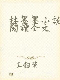 林墨墨小说免费阅读全文