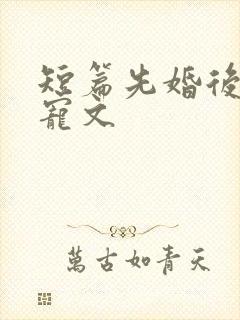 短篇先婚后爱甜宠文