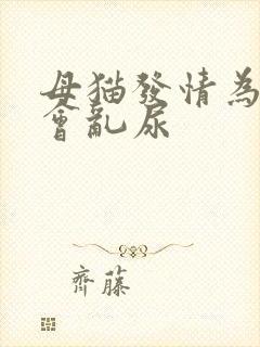 母猫发情为什么会乱尿