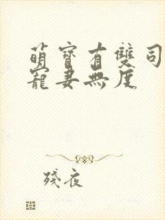 萌宝有双司先生宠妻无度