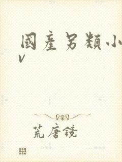 国产另类小说av