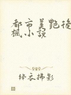 都市美艳后宫唐枫小说