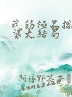 我的极品总裁老婆大结局