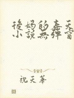 后妈的春天王磊小说无弹窗
