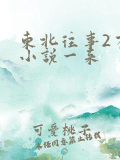 东北往事2有声小说一来