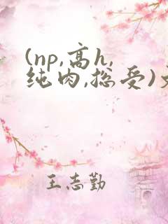 (np,高h,纯肉,总受)文