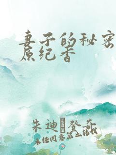 妻子的秘密3藤原纪香