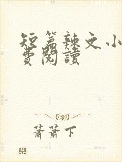 短篇辣文小说免费阅读