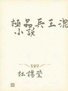 极品兵王混山村 小说