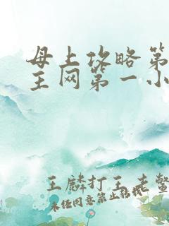 母上攻略第一版主网第一小说