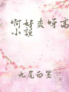 啊好爽呀高潮了小说