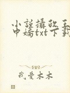 小说摄政王的掌中娇txt下载