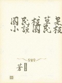 国民校草是女生小说国民校草是女生