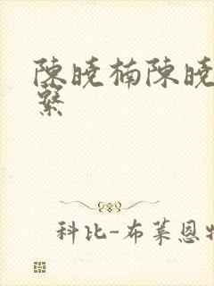 陈晓楠陈晓卿关系