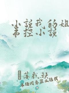 小说我的姐姐很弟控小说