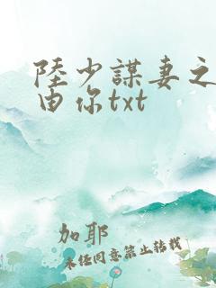 陆少谋妻之婚不由你txt