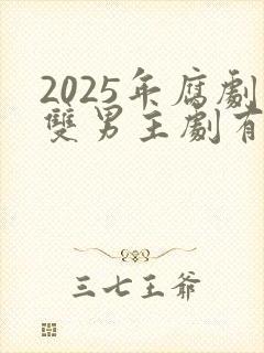 2025年腐剧双男主剧有哪些
