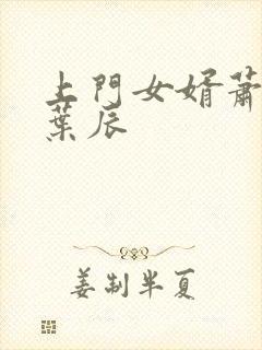 上门女婿萧初然叶辰