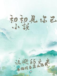 初初见你已心动 小说