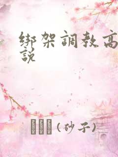 绑架调教高h小说