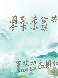 国民老公带回家全本小说
