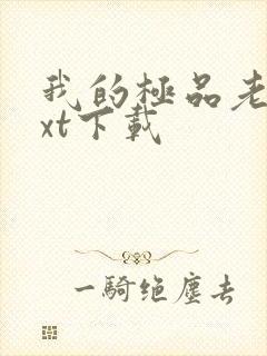 我的极品老婆txt下载