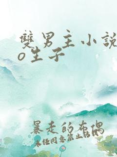 双男主小说abo生子