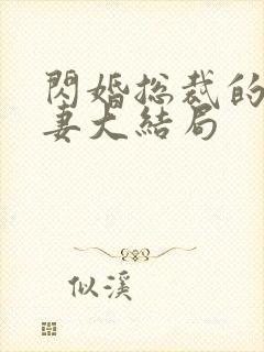 闪婚总裁的契约妻大结局
