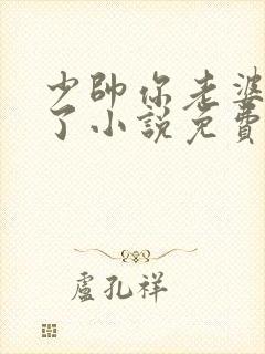 少帅你老婆又跑了小说免费阅读无弹窗