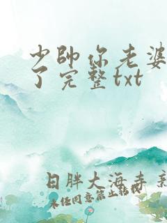 少帅你老婆又跑了完整txt