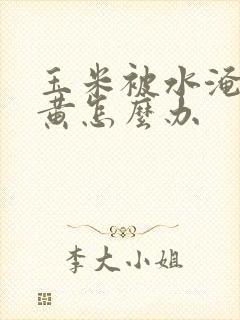玉米被水淹了发黄怎么办