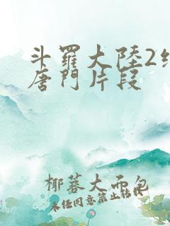 斗罗大陆2绝世唐门片段