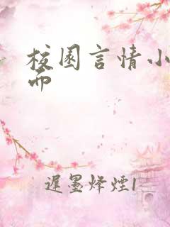 校园言情小说封面