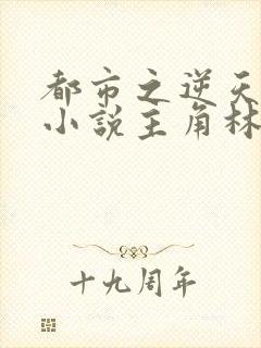 都市之逆天仙尊小说主角林凡