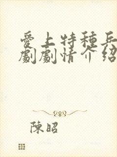 爱上特种兵电视剧剧情介绍分集
