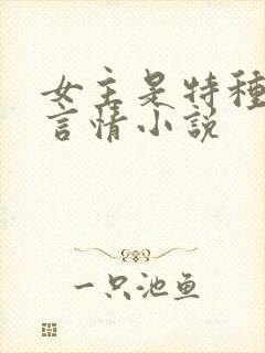 女主是特种兵的言情小说