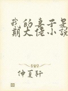 我的妻子是大乘期大佬小说在线