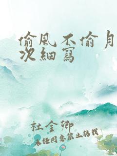 偷风不偷月第一次细写