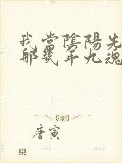 我当阴阳先生的那几年九魂有声小说