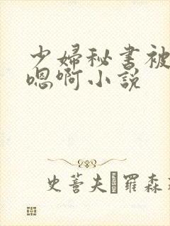 少妇秘书被狂啪嗯啊小说