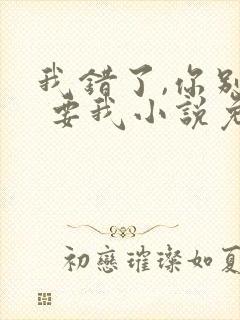 我错了,你别不 要我小说免费阅读