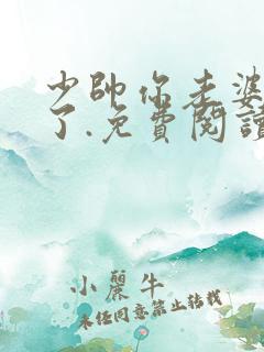 少帅你老婆又跑了.免费阅读