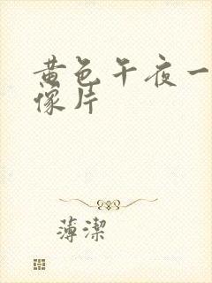 黄色午夜一级录像片