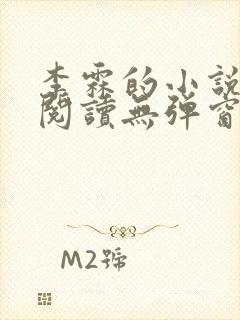 李霖的小说免费阅读无弹窗