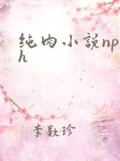 纯肉小说np高h