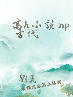 高h小说 np 古代