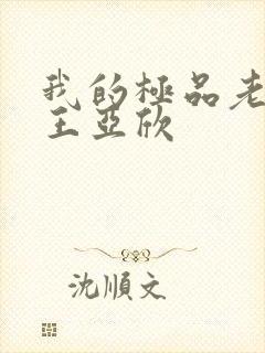 我的极品老婆 王亚欣