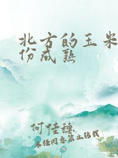 北方的玉米几月份成熟